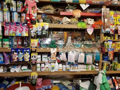 Sklep Zoologiczny Kakadu